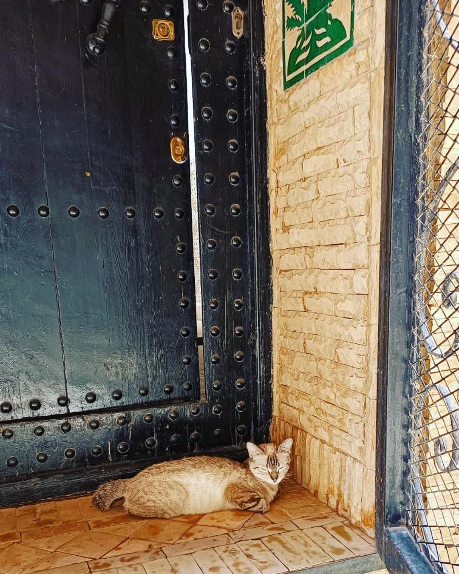 Hugo Marrakesh